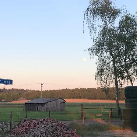 De Gouden Wilg *
