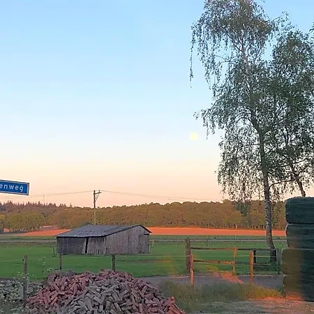 De Gouden Wilg
