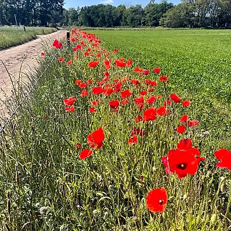 De Gouden Wilg Lunteren
