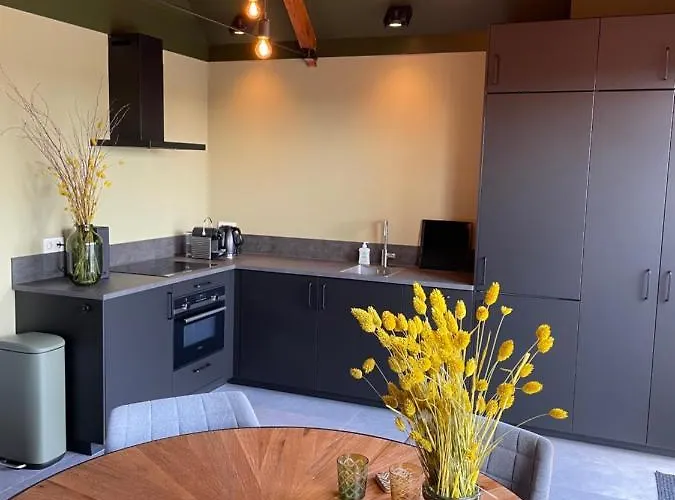 Bed & Breakfast De Gouden Wilg 3*